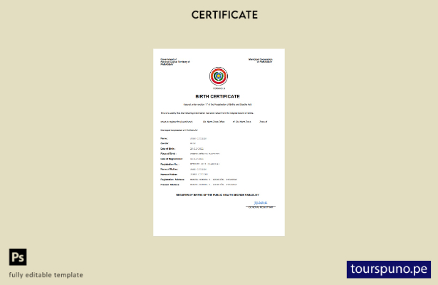 listo para imprimir Acta de nacimiento de Paraguay Plantilla Word y PDF